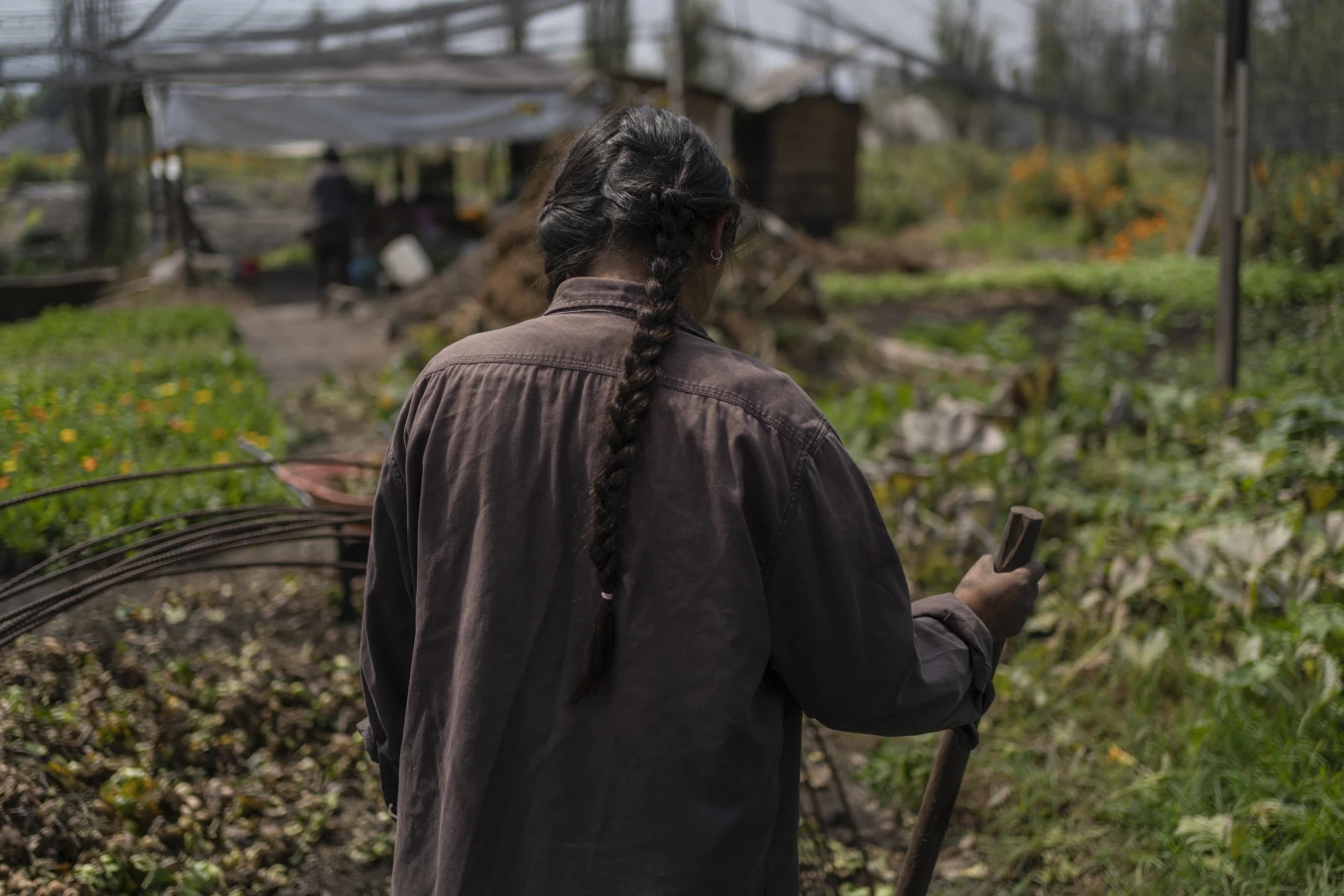 You are currently viewing Mexico City’s floating gardens have fed people for hundreds of years. Now they’re threatened