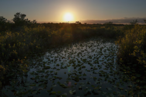 Read more about the article Scientists may have figured out why a potent greenhouse gas is rising. The answer is scary.