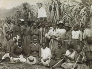 Read more about the article How ‘Blackbirders’ Forced Tens of Thousands of Pacific Islanders Into Slavery After the Civil War