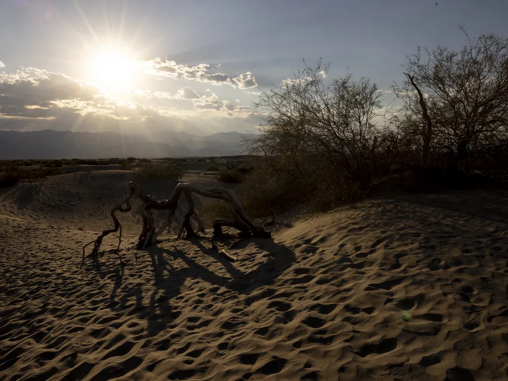 You are currently viewing Climate Scientists Project 2024 Will Be the Hottest Year on Record—and the First to Pass 1.5 Degrees Celsius of Warming