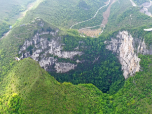 Read more about the article Ancient Forest Discovered in Chinese Sinkhole