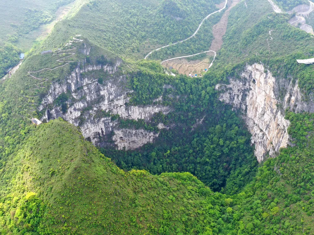 You are currently viewing Ancient Forest Discovered in Chinese Sinkhole