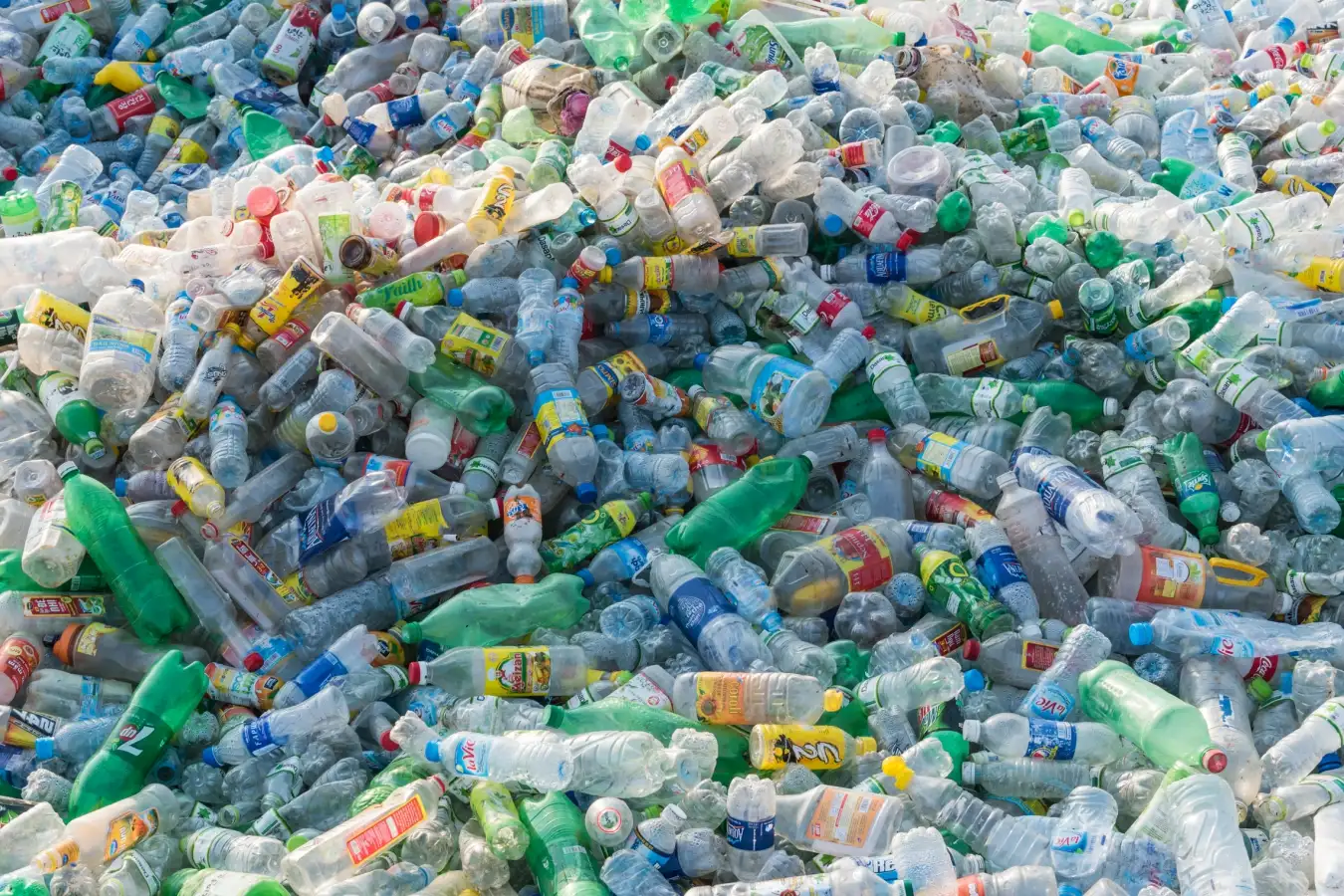 You are currently viewing Plastic chemicals caused many deaths globally