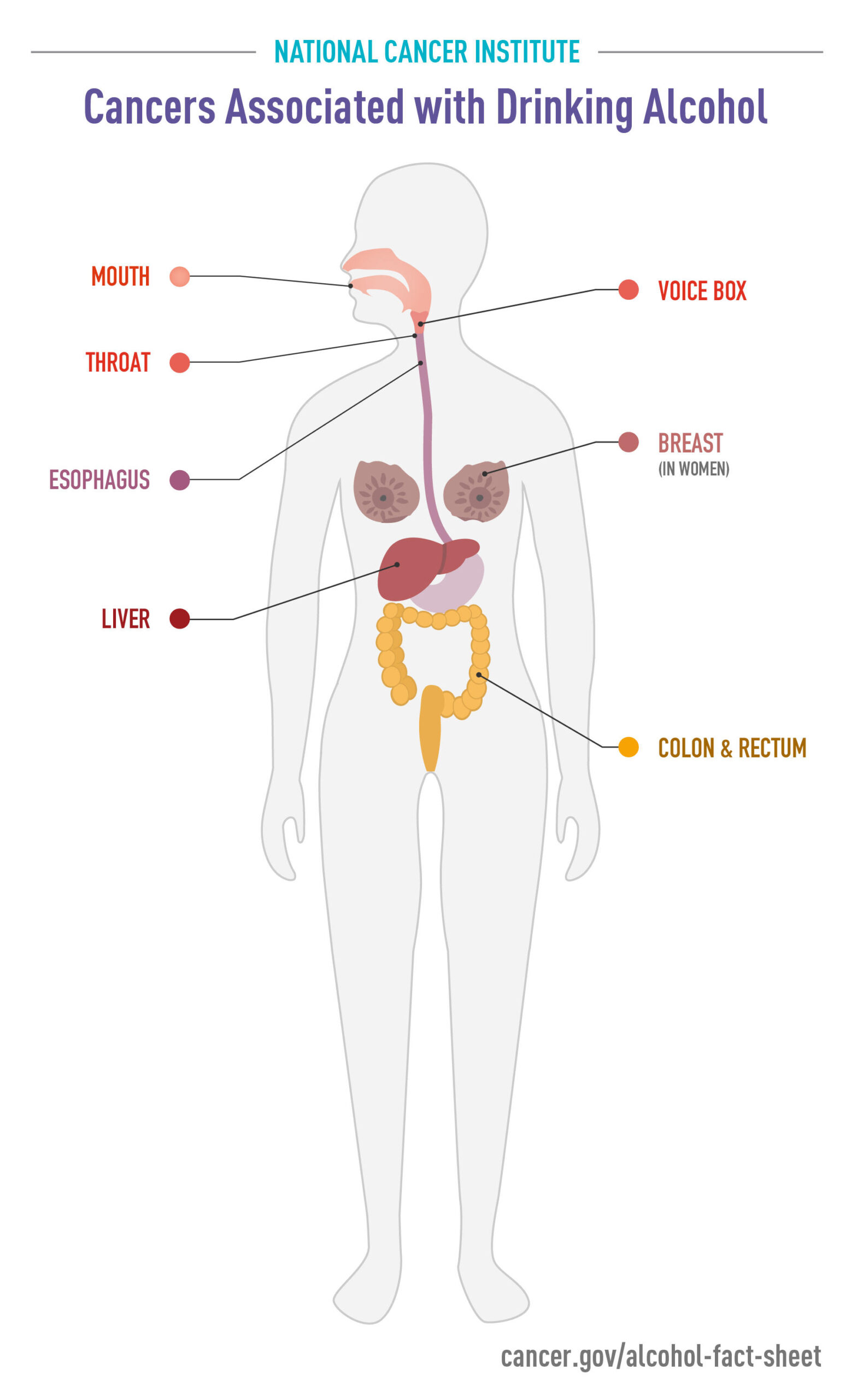 You are currently viewing Alcohol has health benefits but raises cancer risks