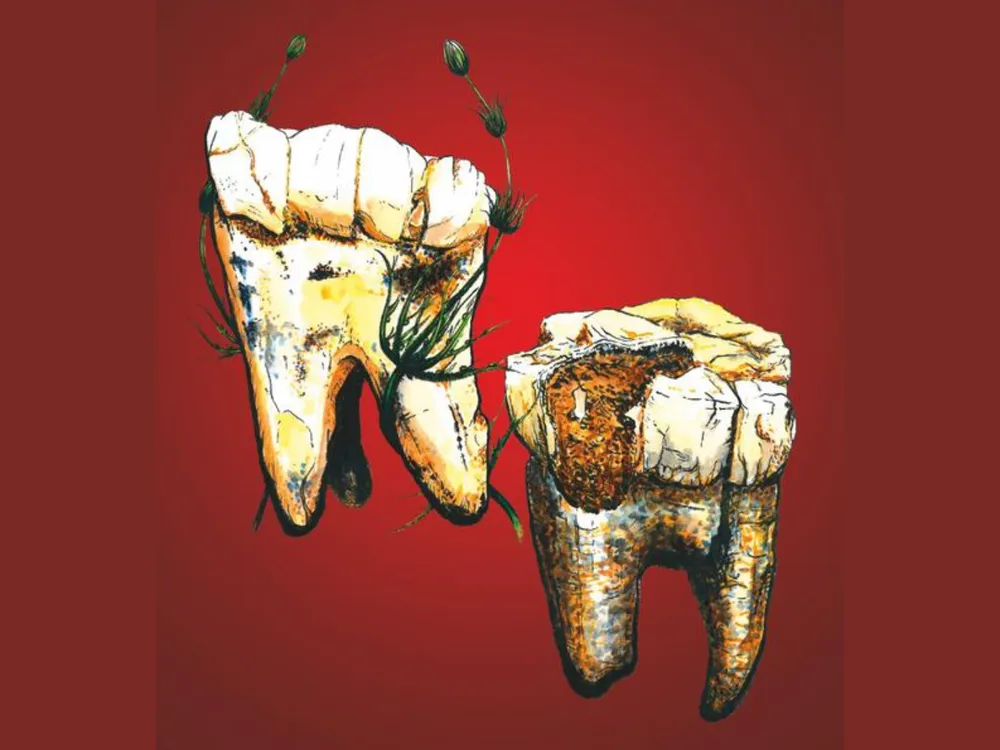 You are currently viewing Ape-Like Human Ancestors Were Largely Vegetarian 3.3 Million Years Ago in South Africa, Fossil Teeth Reveal