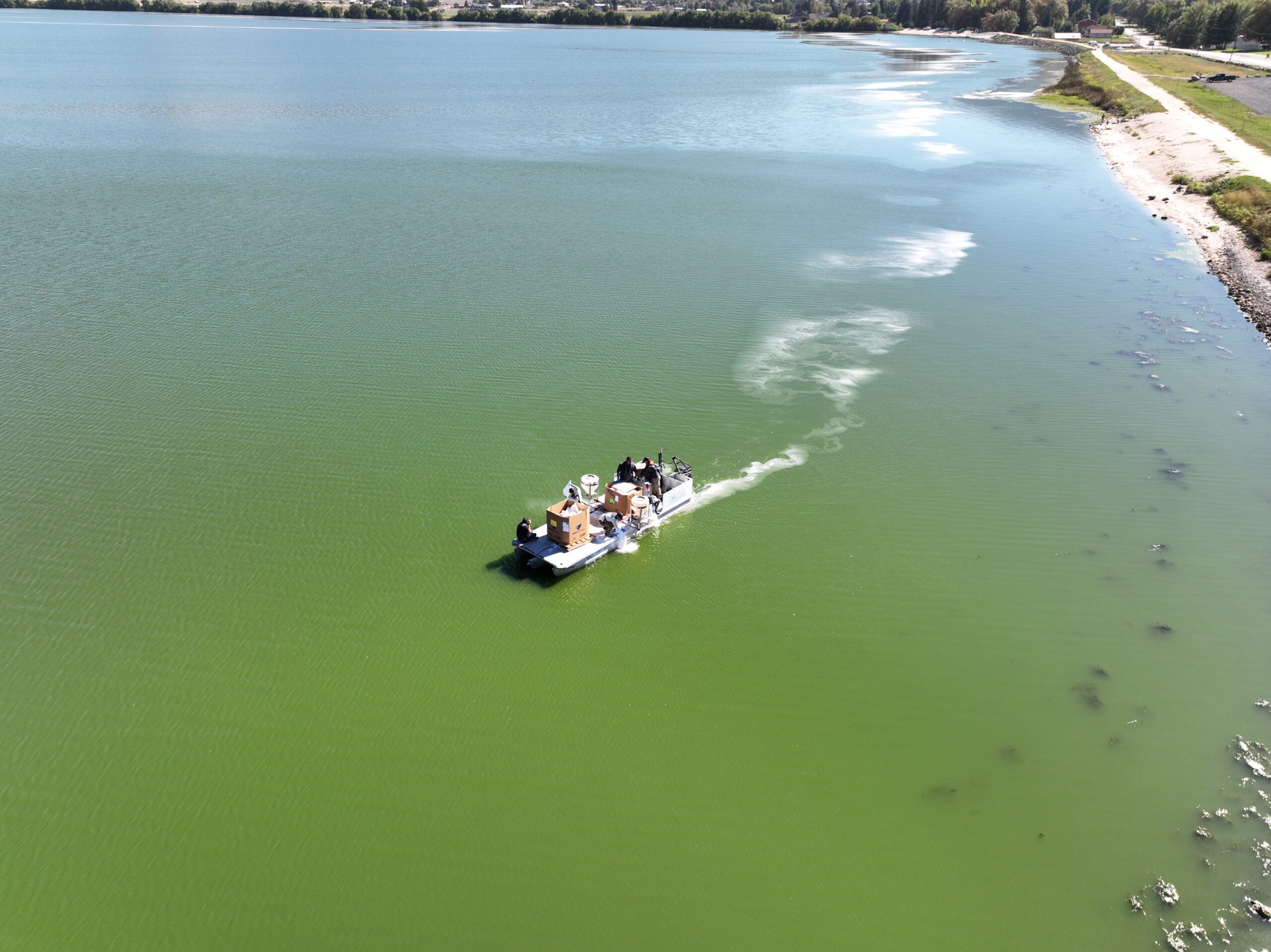 You are currently viewing How Cleaning Up Harmful Algal Blooms Could Help Fight Climate Change