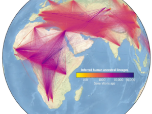 Read more about the article Largest Human Family Tree Identifies Nearly 27 Million Ancestors