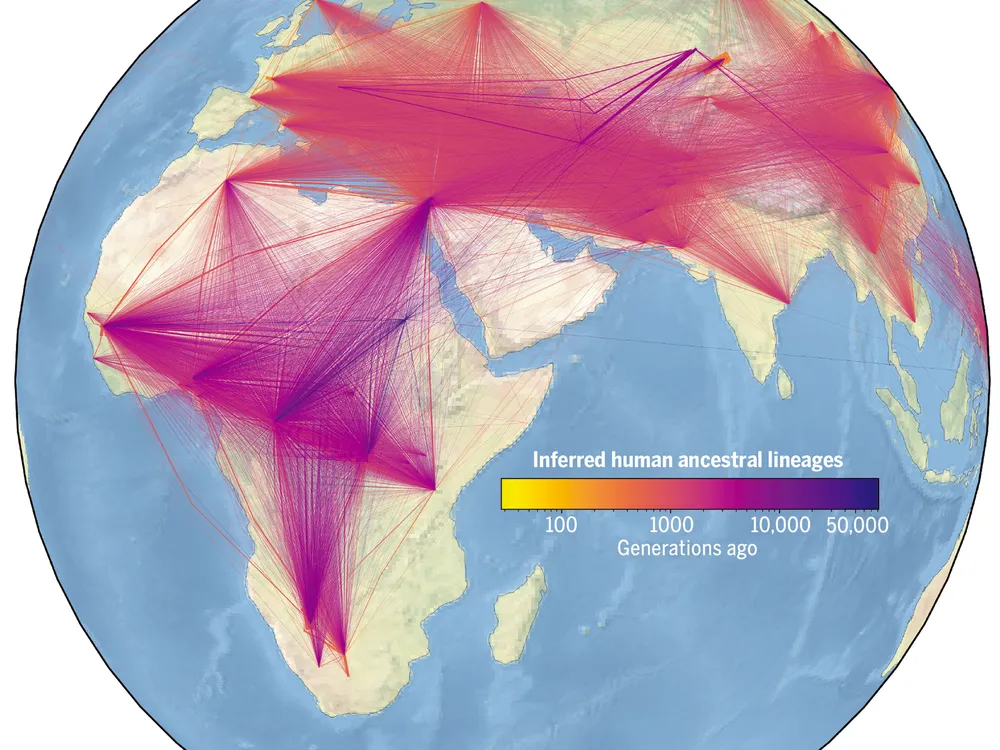 You are currently viewing Largest Human Family Tree Identifies Nearly 27 Million Ancestors