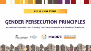 Read more about the article ASP Side Event | Gender Persecution Principles