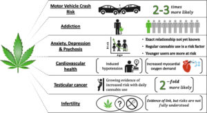 Read more about the article Marijuana dependence associated with increased risk of death