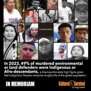 Read more about the article In Memoriam: Remembering 41 Indigenous Defenders Who Were Murdered in 2024 in Latin America