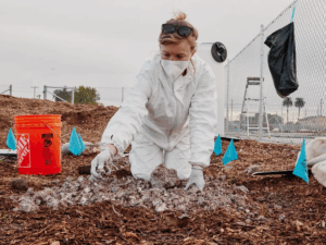 Read more about the article Can Scientists Harness the Magic of Mushrooms to Clean Up Polluted Landscapes?