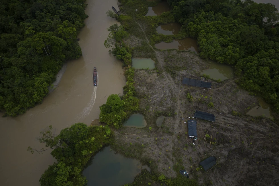 You are currently viewing Colombia lost huge area to deforestation in 6 months, public watchdog report warns