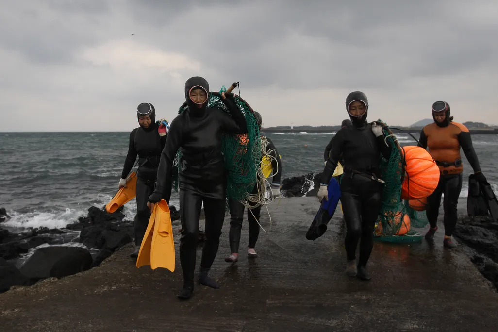 You are currently viewing South Korea’s Female Free Divers May Have Evolved to Thrive Underwater, Study Finds