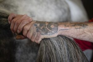 Read more about the article Horses on a Kentucky farm are helping men build sober lives, gain work and reunite families