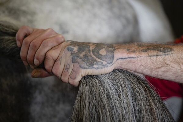 You are currently viewing Horses on a Kentucky farm are helping men build sober lives, gain work and reunite families