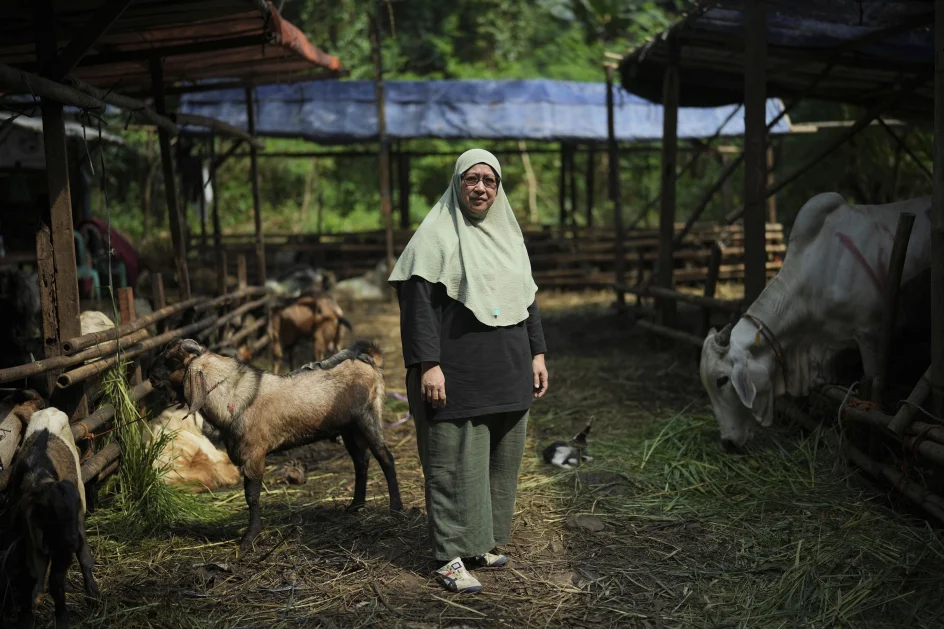 You are currently viewing AP PHOTOS: An Indonesian woman thrives in male-dominated cattle trading ahead of Eid al-Adha