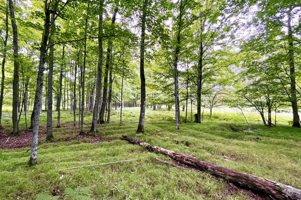 You are currently viewing Massive Fields Where Native American Farmers Grew Corn, Beans and Squash 1,000 Years Ago Discovered in Michigan