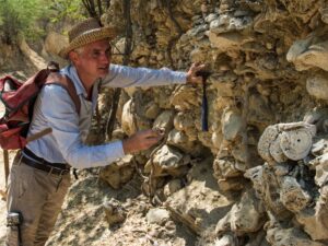 Read more about the article Human Fishing Reshaped Caribbean Reef Food Webs, 7,000-Year-Old Exposed Fossilized Reefs Reveal