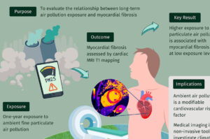 Read more about the article MRI study finds even low air pollution levels may harm heart health