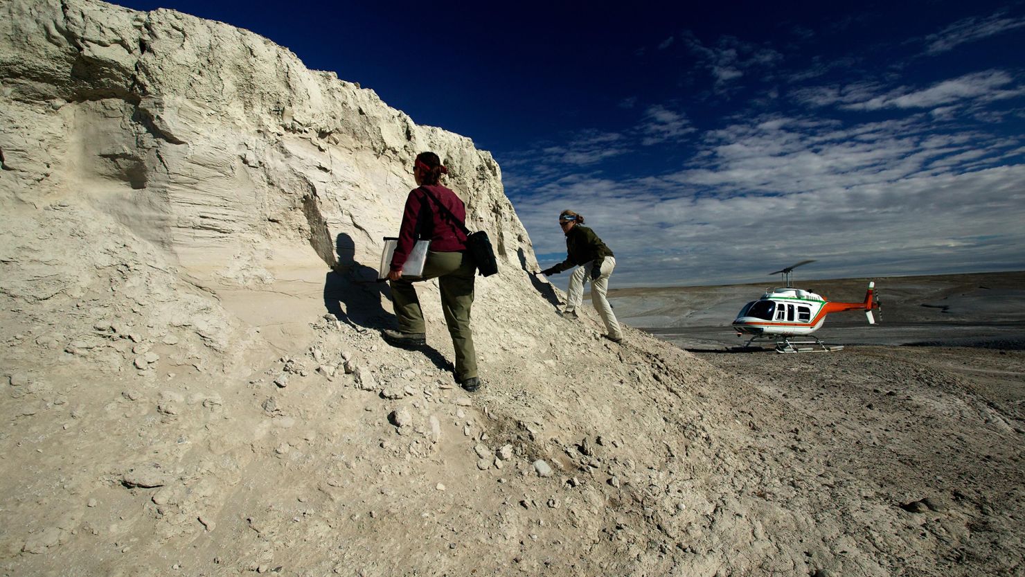 You are currently viewing Scientists recover proteins from a 24 million-year-old rhino fossil. Are dinosaurs next?