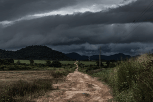 Read more about the article Volkswagen kept a dark secret in the Amazon. Then a priest made a call.
