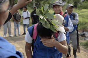 Read more about the article After taking back land in Colombia, Indigenous prepare their youth to safeguard it