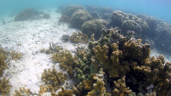 You are currently viewing Honolulu’s lawsuit against fossil fuel companies leads climate change legal fight