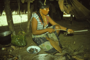 Read more about the article Through Much of Human History, Women Have Shaped Evolution Through Food Processing