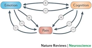 Read more about the article Learning to manage negative emotions may help alleviate chronic pain