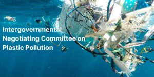 Read more about the article 2nd Part of the 5th Session of the Intergovernmental Negotiating Committee to Develop an International Legally Binding Instrument on Plastic Pollution, Including in the Marine Environment (INC-5.2)