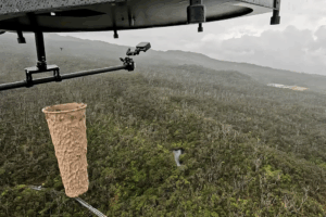 Read more about the article Scientists Are Using Drones to Unleash Thousands of Mosquitoes in Hawaii in a Bid to Save Native Birds. Here’s How It Works