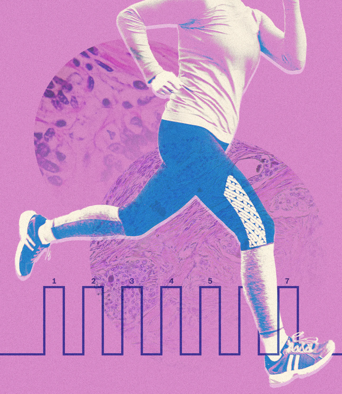You are currently viewing A single exercise session may slow cancer cell growth, new study shows