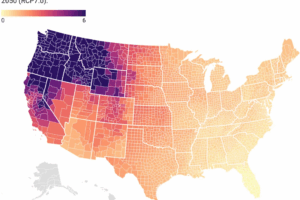 Read more about the article Wildfire Smoke Will Likely Kill Thousands More Americans Each Year