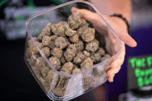 Read more about the article Pregnant Women Should Not Use Cannabis, New Medical Guidelines Say