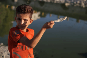 Read more about the article Severe drought is devastating war-torn Syria