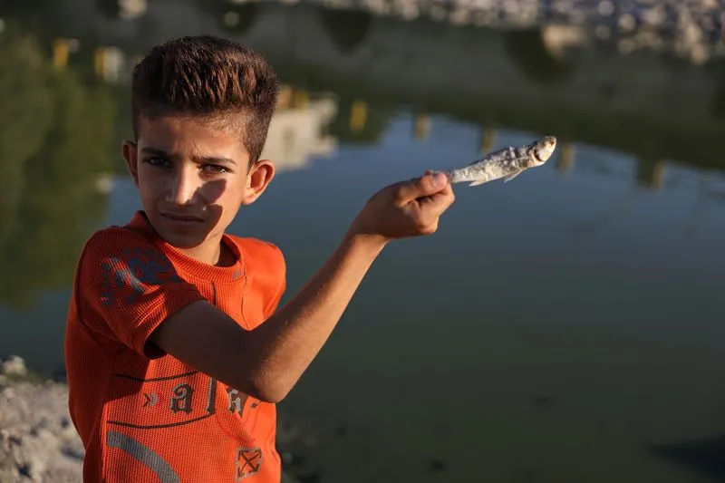 You are currently viewing Severe drought is devastating war-torn Syria