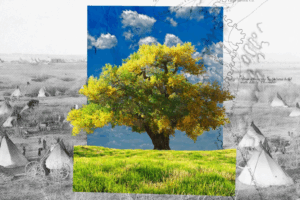 Read more about the article A Chance for Healing, 170 Years After a Lakota Massacre