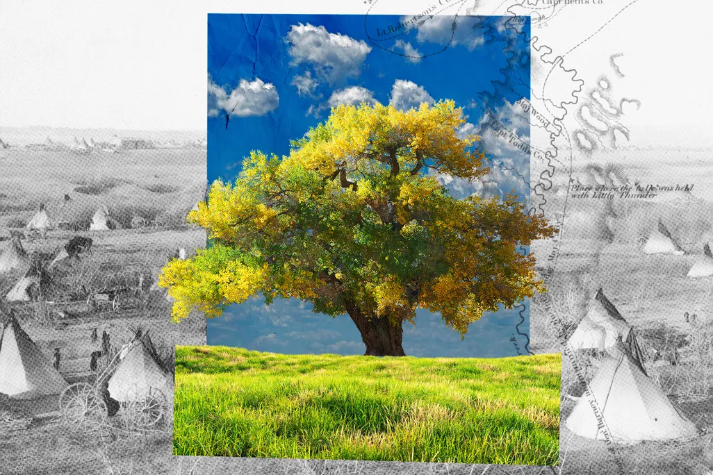 You are currently viewing A Chance for Healing, 170 Years After a Lakota Massacre