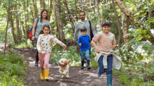 Read more about the article Improve your health by spending 20 minutes in nature