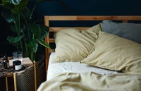 Read more about the article Many Young Adults Turn to Cannabis or Alcohol as Sleep Aid