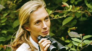 Read more about the article Jane Goodall’s Last Instagram Post Proves 1 Thing