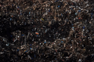 Read more about the article The food you toss costs you plenty and emits tons of pollution. We’ve got tips on how to cut down