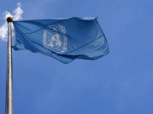 Read more about the article U.N. WRESTLES WITH SEXUAL HARASSMENT IN ITS RANKS