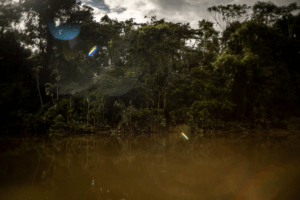 Read more about the article To make peace with nature, we need a fossil fuel-free Amazon