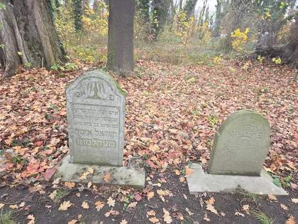 You are currently viewing Restored Tombstone Next to Auschwitz Death Camp Sheds Light on Vibrant Prewar Jewish Life