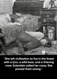Read more about the article She left civilization to live in the forest with a lynx, a wild boar, and a thieving crow.