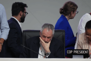Read more about the article Takeaways from the outcome of UN climate talks in Brazil