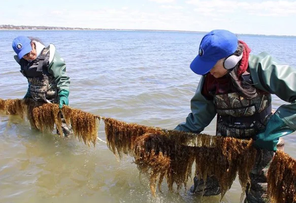 You are currently viewing Indigenous Knowledge for Climate Change Mitigation