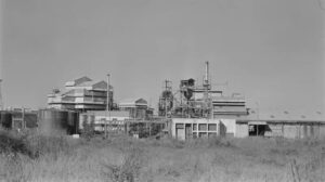 Read more about the article Remembering Bhopal